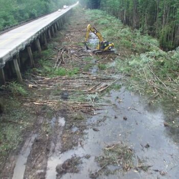 Construction vehicle clears debris in flooded woods by elevated road.