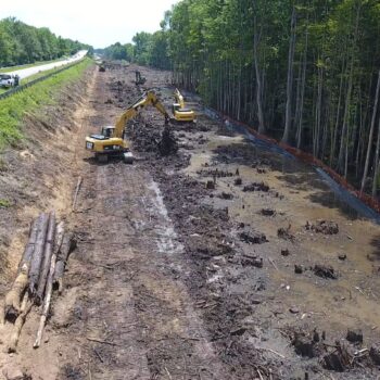 Excavators clear trees, leaving muddy site with stumps and logs.