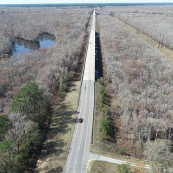Aerial view: road through forest, lake beside it, cars driving.