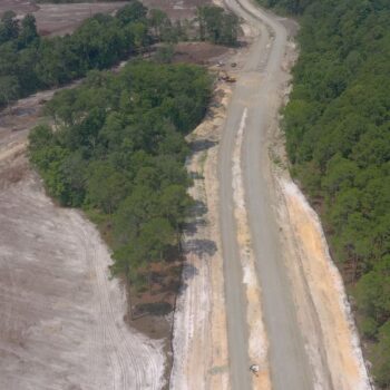 Aerial view of a road dividing cleared and forested land.