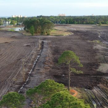 Aerial view: cleared land, scattered trees, dirt paths, distant buildings.